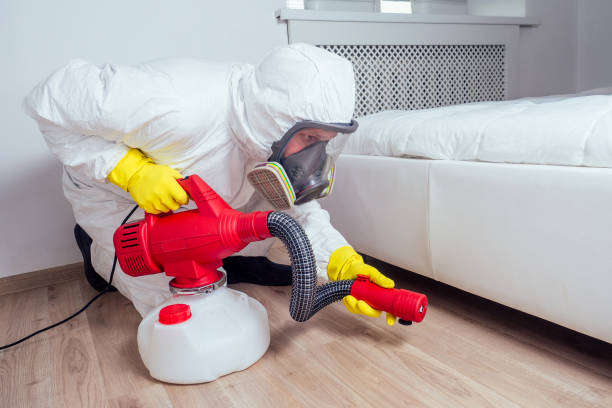 Wasp Removal Services in Hutchins, TX