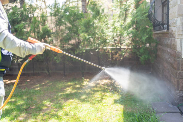 Best Affordable Exterminators  in Hutchins, TX