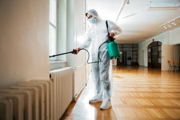 Best Bed Bug Extermination  in Hutchins, TX