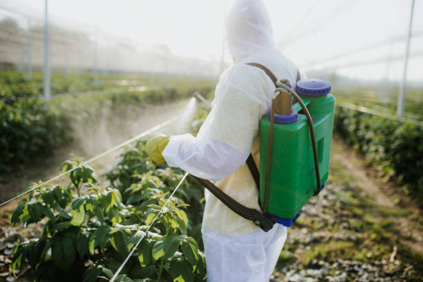  Hutchins, TX Pest Control Pros